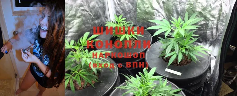 Каннабис White Widow  MEGA ТОР  даркнет клад  Воронеж 